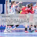 H&#229;ndball Skadefripakke til lag Pakke til treningsprogram